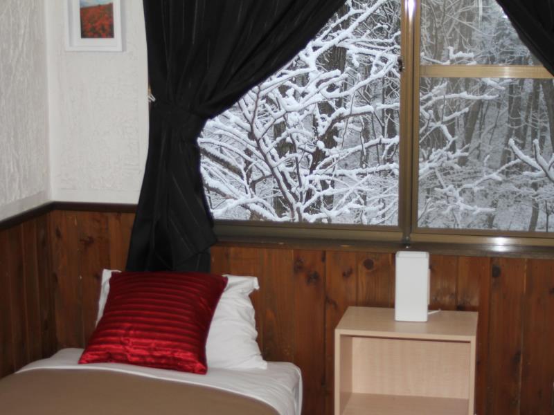 Alpine Lodge Hakuba Luaran gambar
